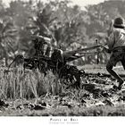 People of Bali