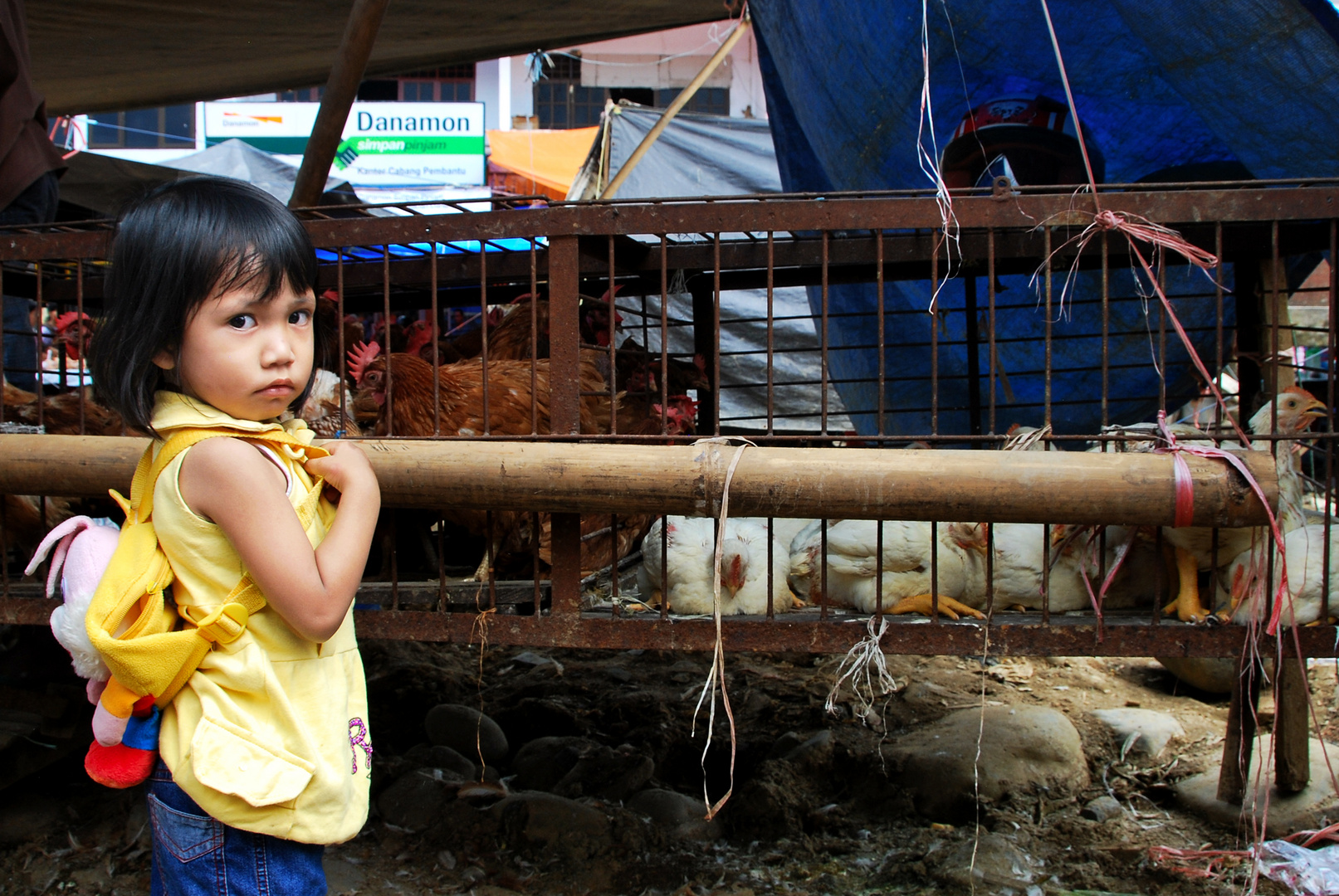 People of Tana Toraja   - 5 -