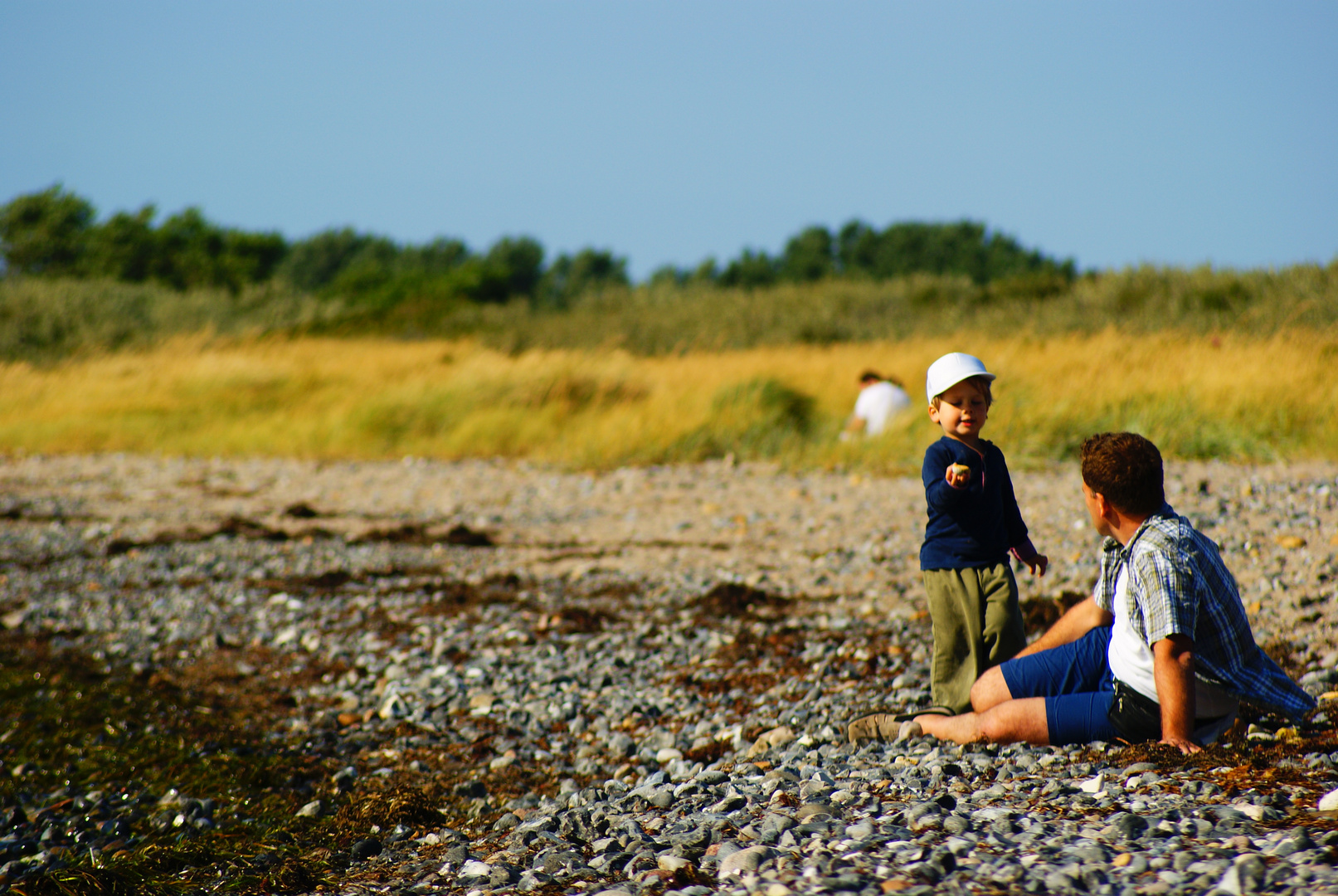 people on the beach