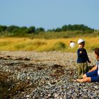 people on the beach