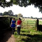 people walking towards a gate