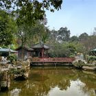 PEOPLE'S PARK CHENGDU -2-