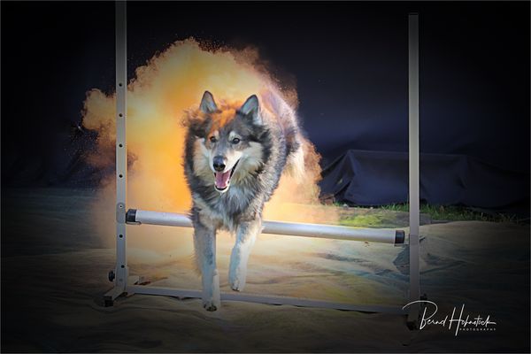 Peper und Freunde ....