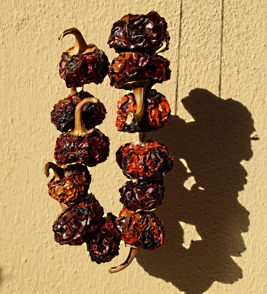 Peperoncino al sole...