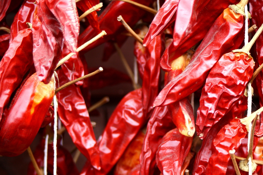 Peperoncino, eine süßscharfe Spezialität in Calabrien Foto & Bild
