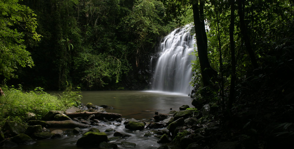 Pepina Falls