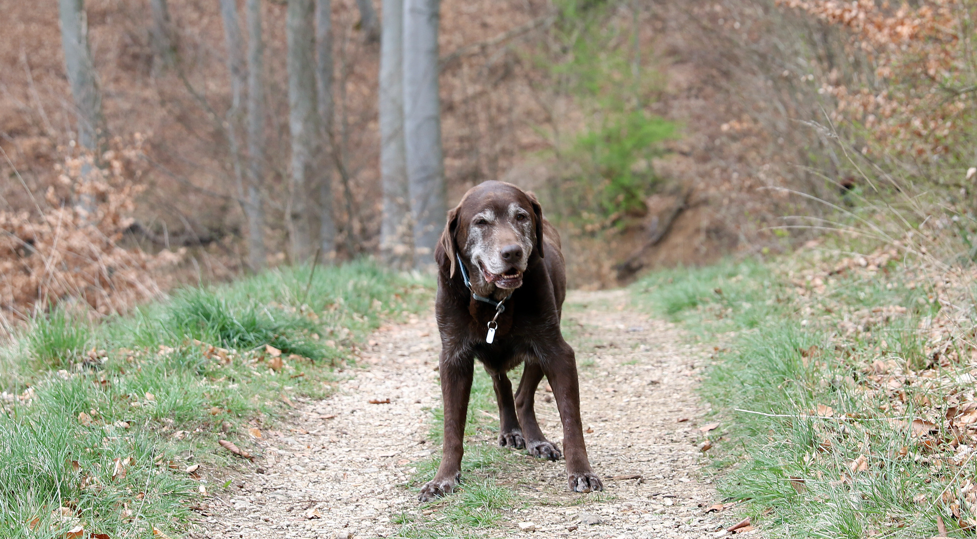 Pepper immer noch aktiv