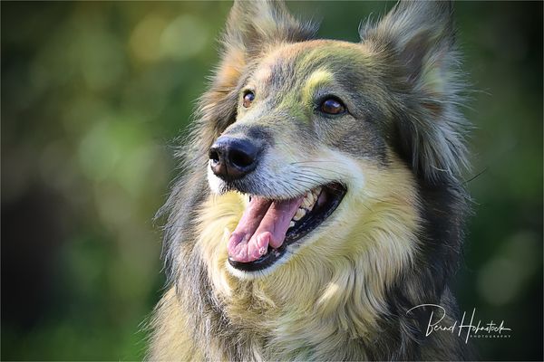 Pepper und Freunde ....