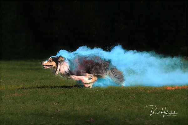 Pepper und Freunde ....