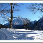 Peppi im Schnee