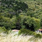 Pequeña casa en el bosque