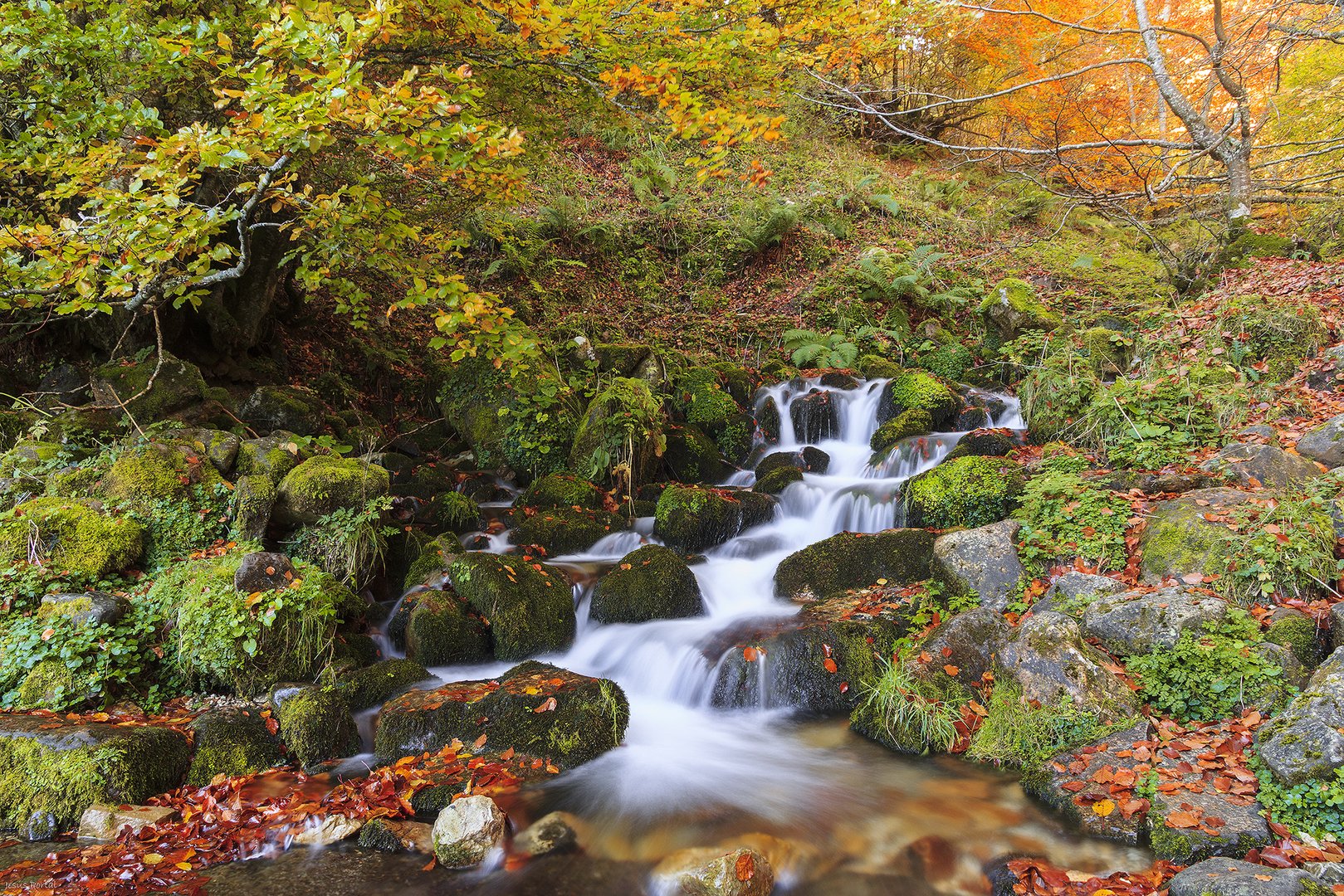 Pequeña cascada.