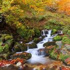 Pequeña cascada.