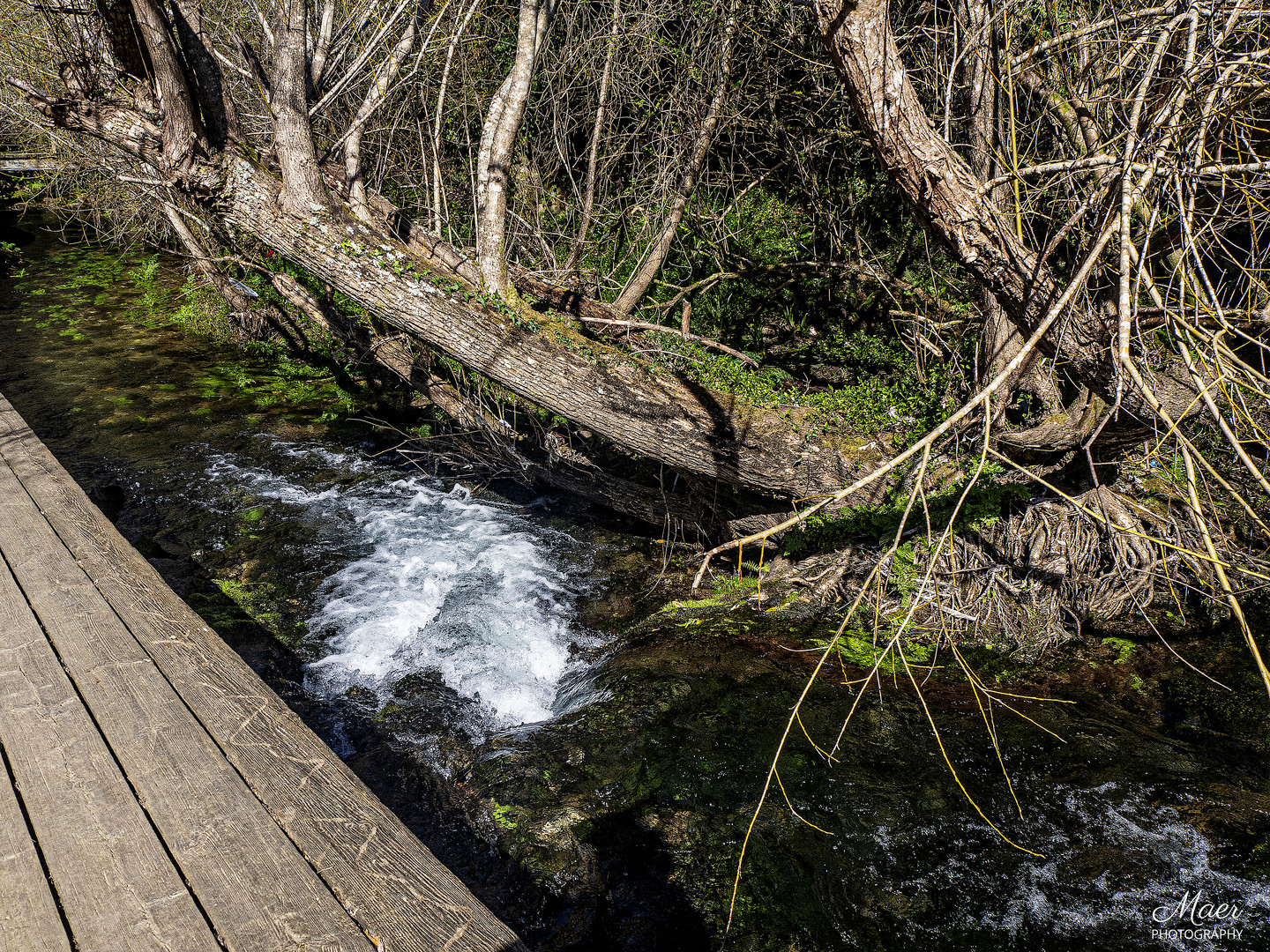 Pequeña Cascada.