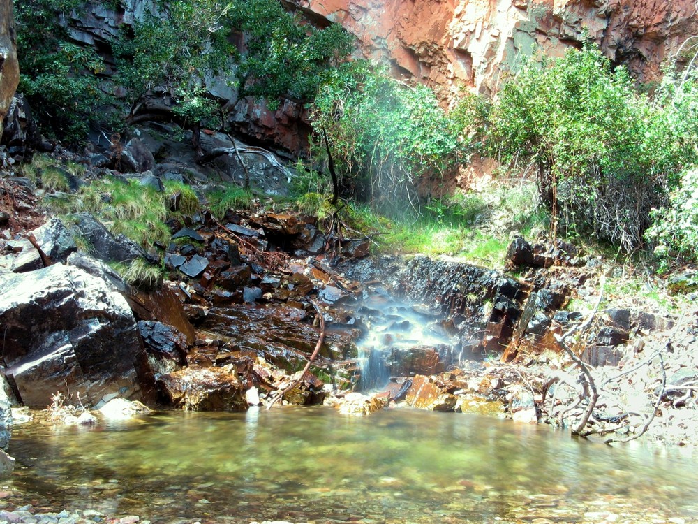 Pequeña Cascada Primaveral