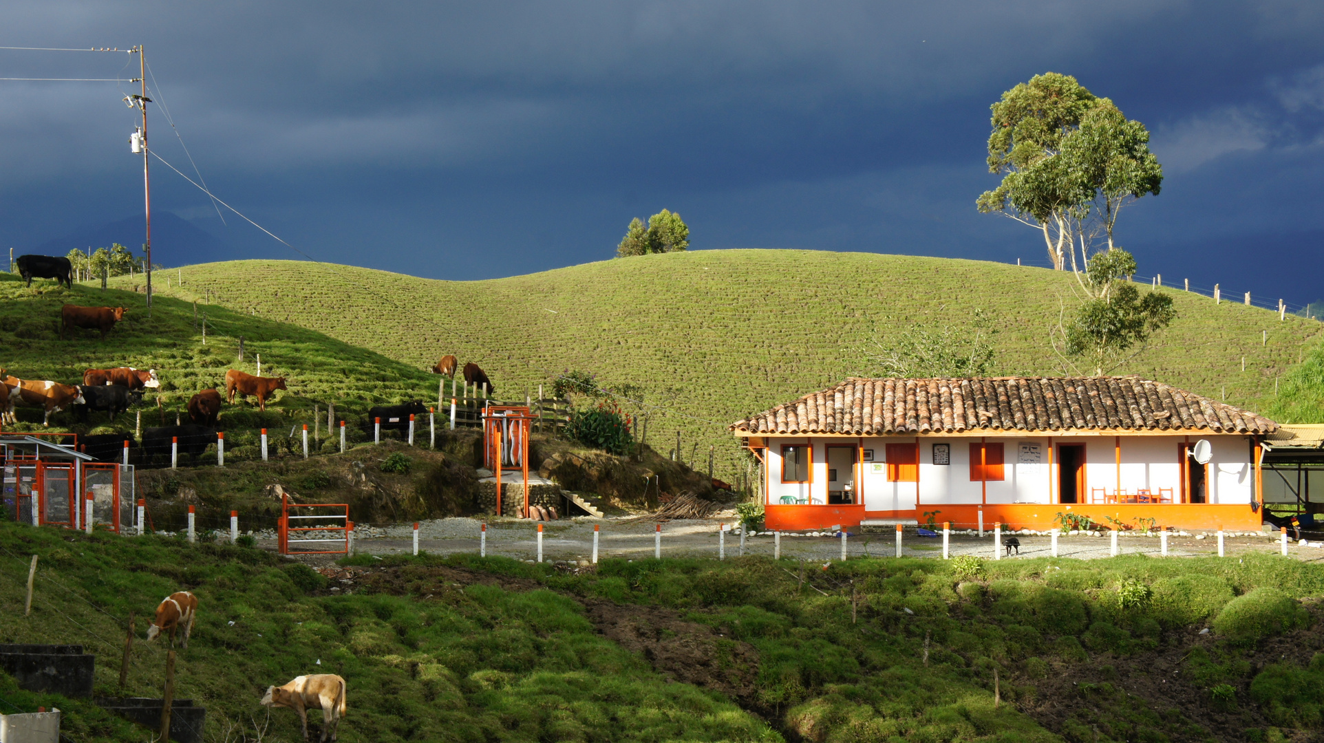 PEQUEÑA FINCA GANADERA VIA ARMENIA - PEREIRA