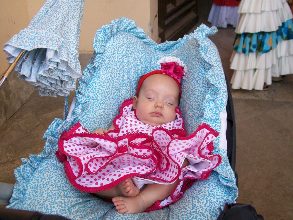 Pequeña flamenca