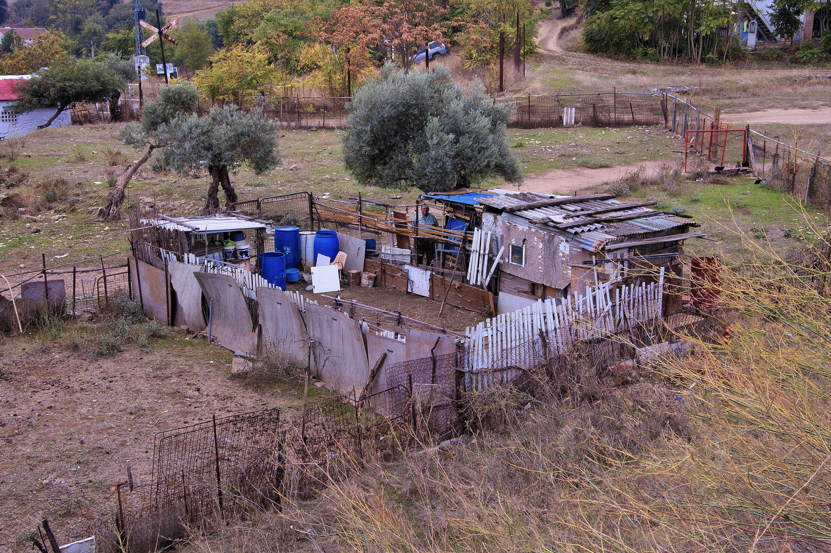 PEQUEÑA OBRA DE ARTE (al reciclaje) Y SU ARTISTA.