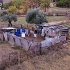 PEQUEÑA OBRA DE ARTE (al reciclaje) Y SU ARTISTA.