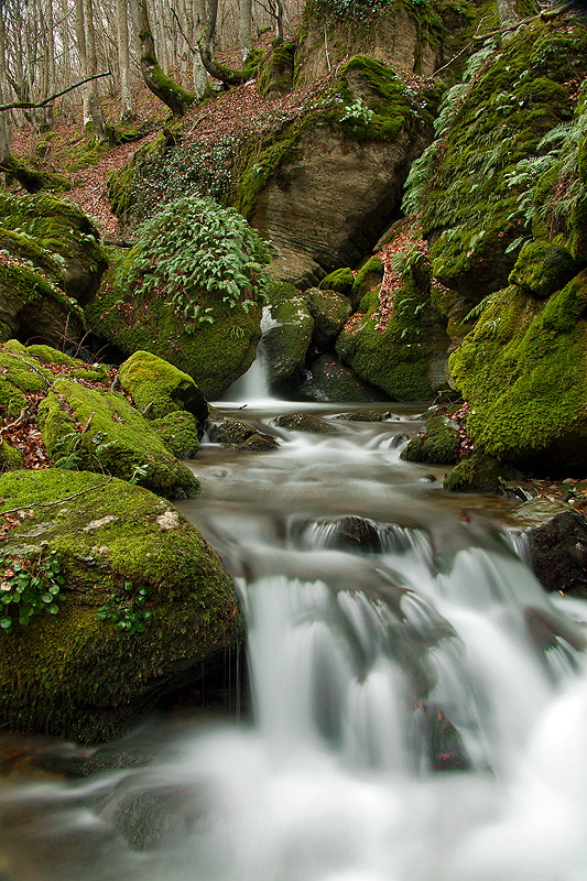 Pequeño paraíso.