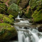 Pequeño paraíso.