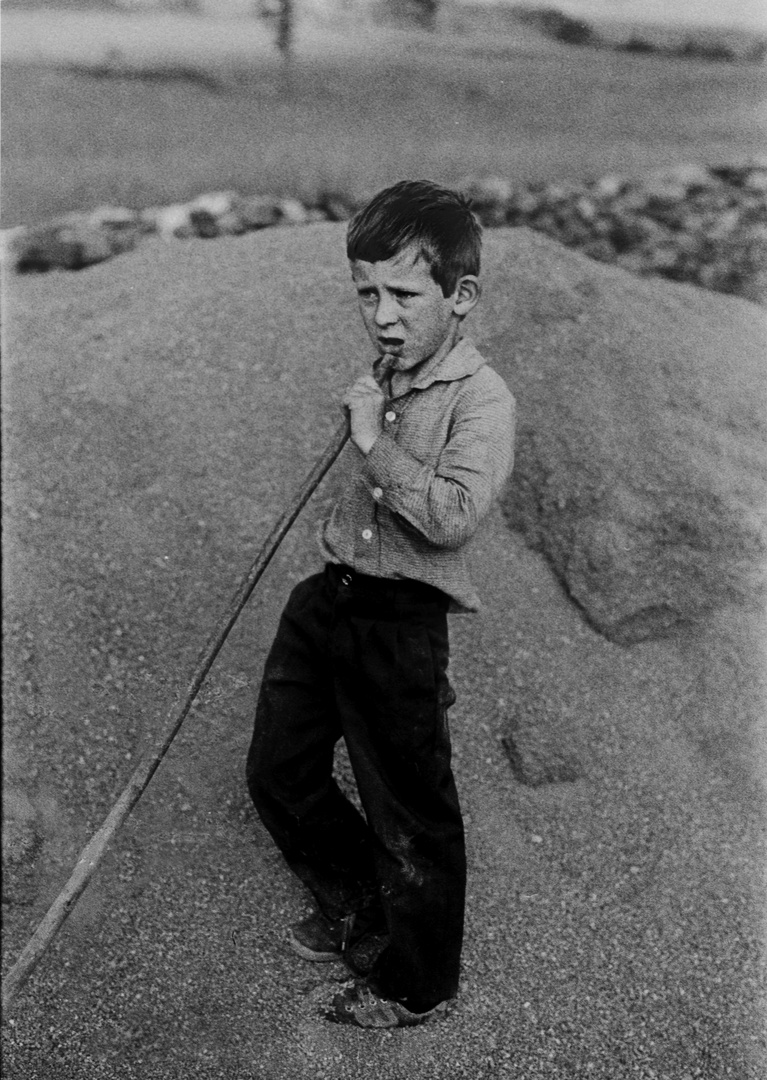 PEQUEÑO PASTOR