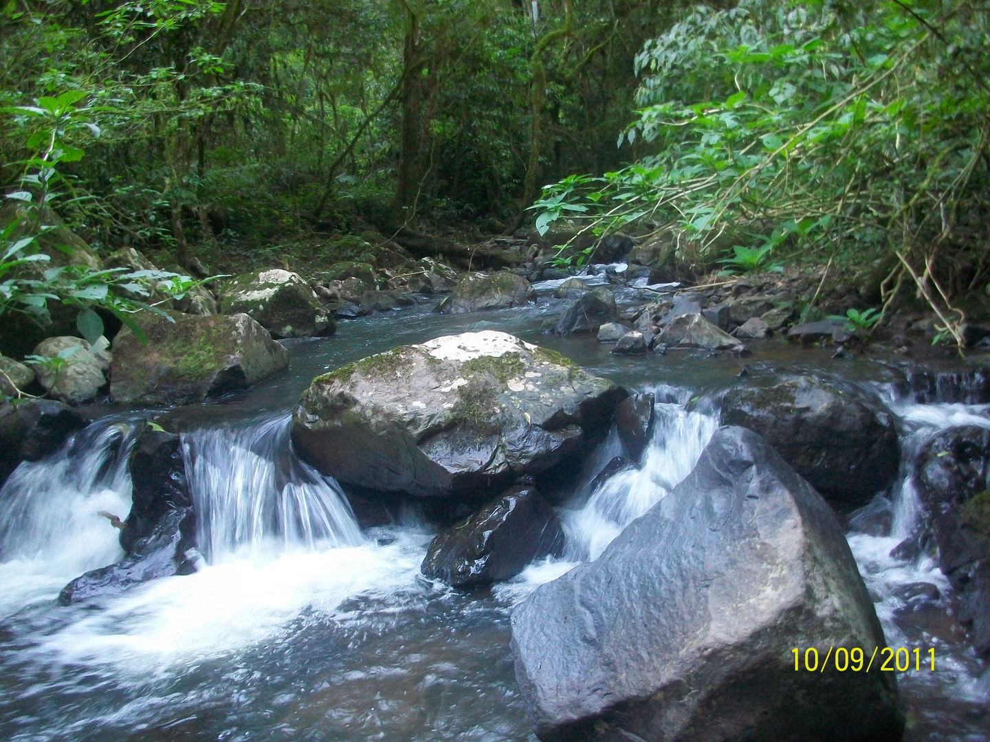 PEQUEÑO RÍO EN EL MONTE MISIONERO