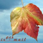 PER AIR - MAIL