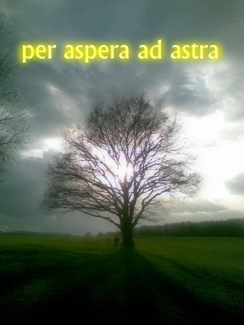 Per Aspera Ad Astra