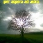 Per Aspera Ad Astra