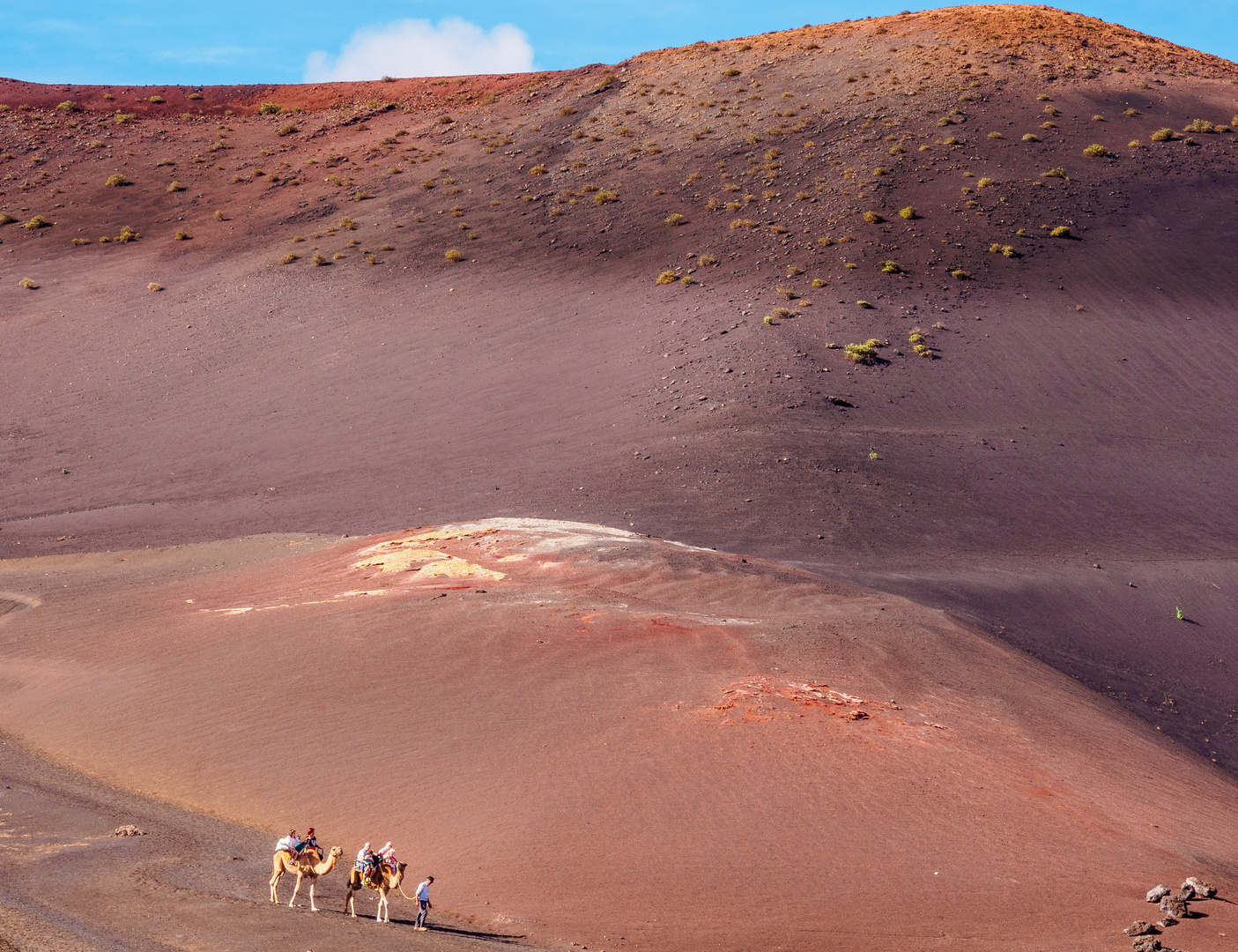 Per Kamel durrch Timanfaya 