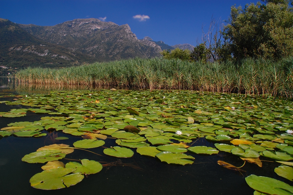 Per laghi e fiumi (5)