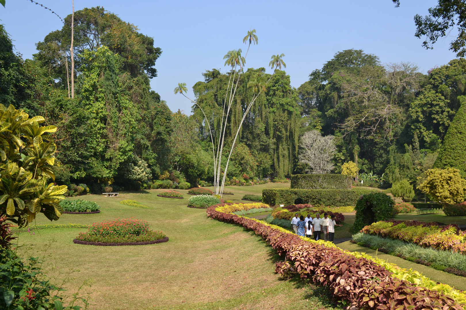 Peradeniya