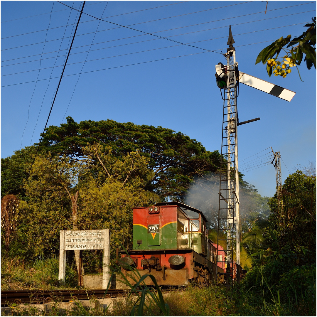 Peradeniya Junction