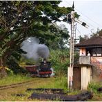 Peradeniya Junction V