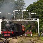 Peradeniya Signalbrücke