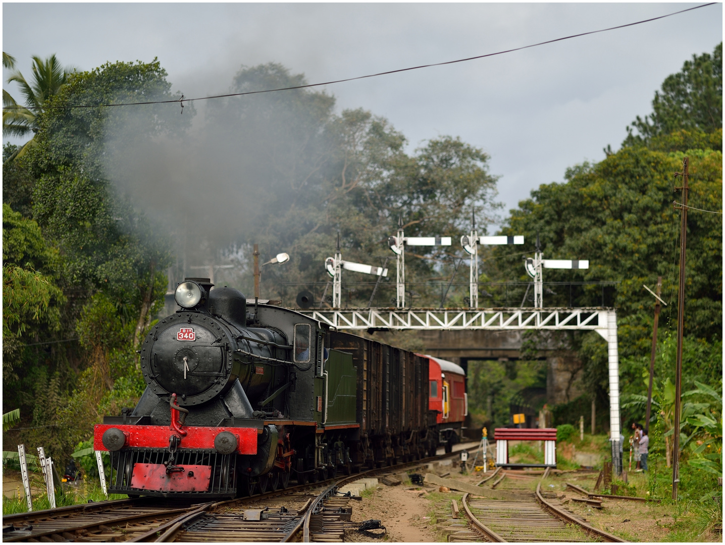 Peradeniya Signalbrücke II