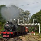 Peradeniya Signalbrücke II