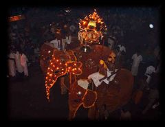 Perahera