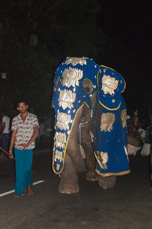 Perahera in Moragalla