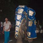 Perahera in Moragalla