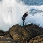 PERCEBEIROS EN ACCIÓN - MUXIA GALICIA