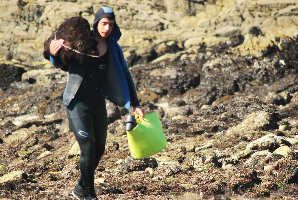 percebeiros ll ( vigo )