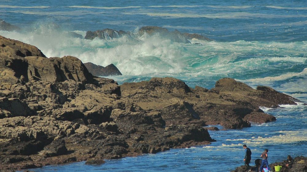 percebeiros lll ( vigo )