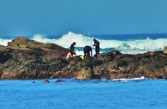 percebeiros ( vigo )