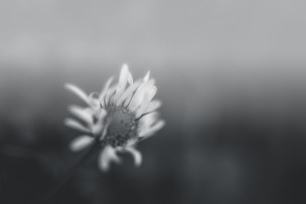 ...perchè lei odia il rancore