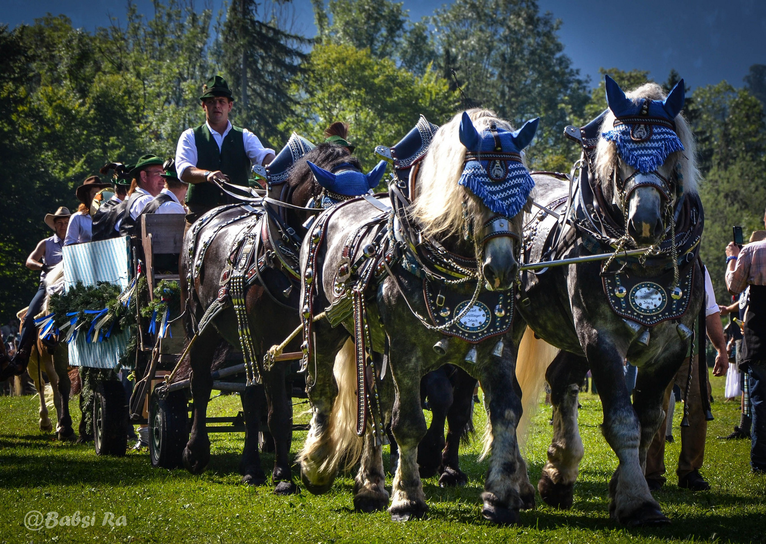 Percheron-Gespann am Schönauer Rosstag 2013