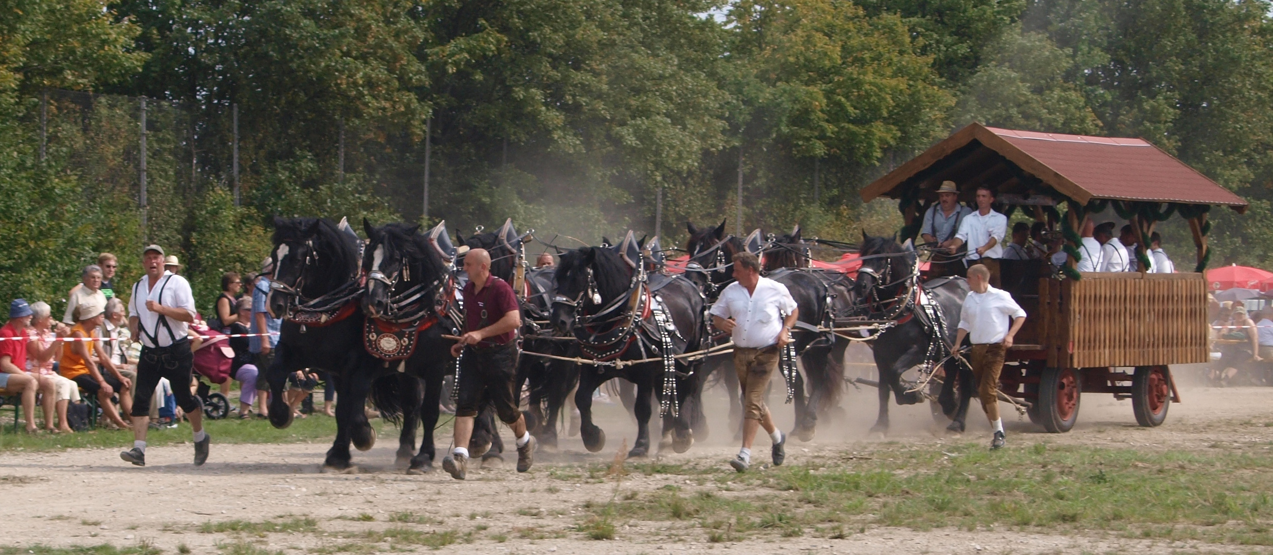 Percheron-Power