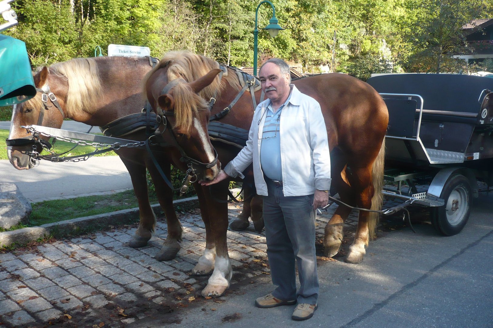 Percheron - Rothenburg ober der Talber - Deutschland