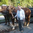 Percheron - Rothenburg ober der Talber - Deutschland